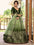 Festiwo Enchanted Olive Ombre Green Chinnon Lehenga Choli with Thread & Sequins Embroidery | Wedding & Reception Wear
