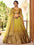 Festiwo Enchanted Olive Ombre Yellow Chinnon Lehenga Choli with Thread & Sequins Embroidery | Wedding & Reception Wear